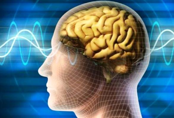 بازگرداندن حافظه با ایمپلنتهای مغزی بازگرداندن حافظه با ایمپلنتهای مغزی