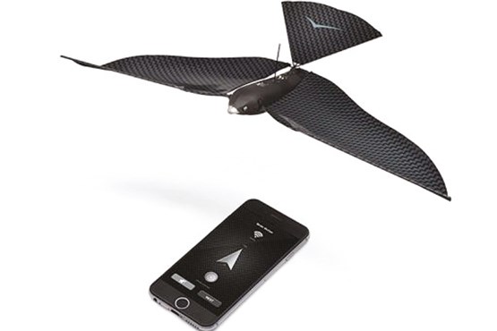 پرندهای برای سرگرمی پرندهای برای سرگرمی