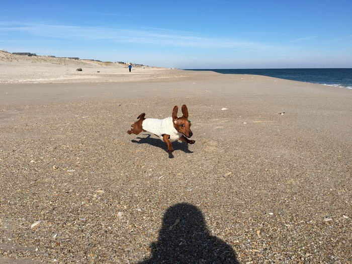 ۶ ترفند برای عکسبرداری بهتر با گوشی موبایل ۶ ترفند برای عکسبرداری بهتر با گوشی موبایل