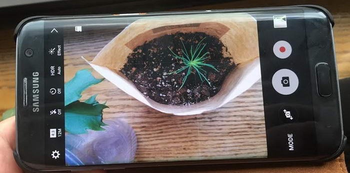 ۶ ترفند برای عکسبرداری بهتر با گوشی موبایل ۶ ترفند برای عکسبرداری بهتر با گوشی موبایل