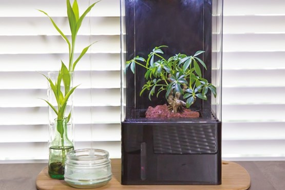 فضای سبز به خانه ها می آید فضای سبز به خانه ها می آید