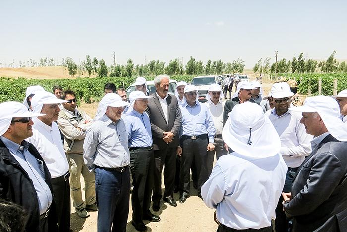 بازدید مدیرعامل بانک سپه از واحد کشت و صنعت پارس