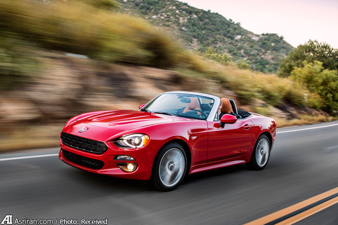 سیب ایتالیایی زیر درخت ژاپنی