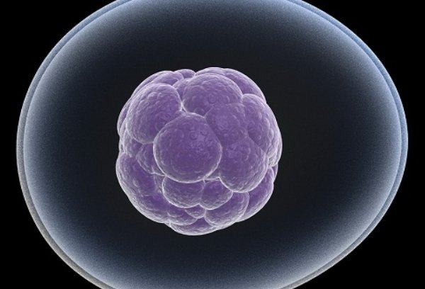 مبارزه با سرطان با سلول های ایمنی فرد دیگر مبارزه با سرطان با سلول های ایمنی فرد دیگر