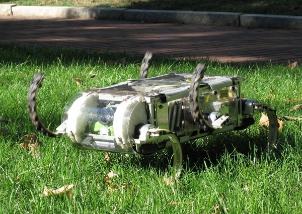 ساخت کوچکترین ربات دنیا با الهام از حشرات ساخت کوچکترین ربات دنیا با الهام از حشرات