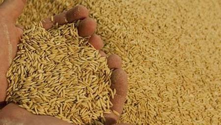 بهبود خواص سرامیکهای دمابالا با سبوس برنج