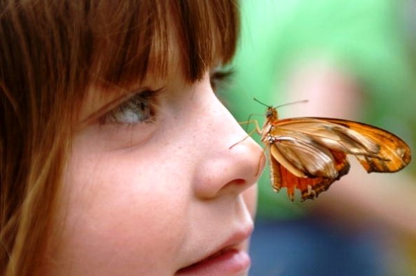 کشف ژنهای شکل دهنده به بینی کشف ژنهای شکل دهنده به بینی