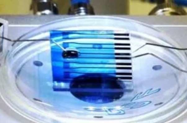 تشخیص سریع و ارزان آلزایمر و سرطان تشخیص سریع و ارزان آلزایمر و سرطان