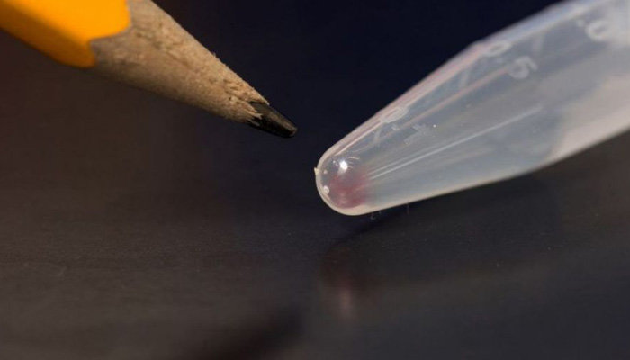 ذخیره موزیک ویدیو روی دی.ان.ای! ذخیره موزیک ویدیو روی دی.ان.ای!