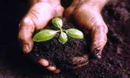 کودهای زیستی را دریابیم کودهای زیستی را دریابیم