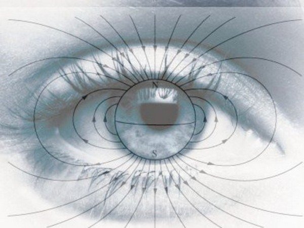 انسان حس مغناطیسی دارد انسان حس مغناطیسی دارد