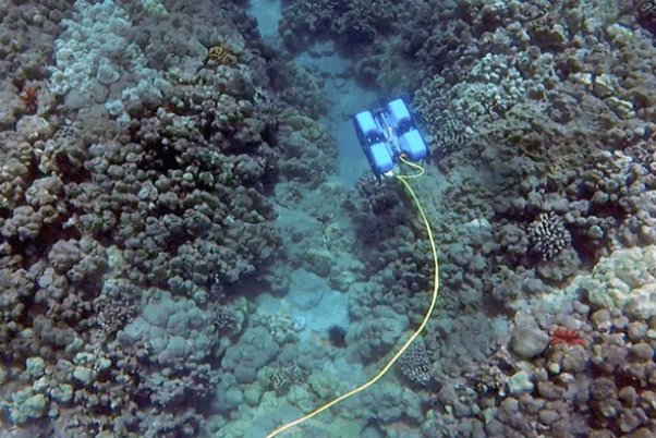 روبات غواص ساخته شد روبات غواص ساخته شد