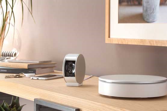 روباه محافظ روباه محافظ