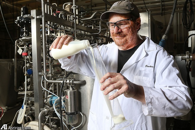 معرفی روشی غیرشیمیایی برای افزایش عمر مفید شیر خوراکی معرفی روشی غیرشیمیایی برای افزایش عمر مفید شیر خوراکی