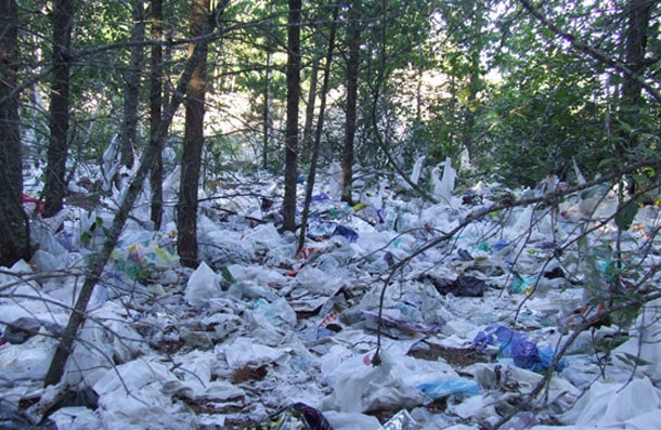 تولید پلاستیک زیست تخریب پذیر نانوکامپوزیتی تولید پلاستیک زیست تخریب پذیر نانوکامپوزیتی