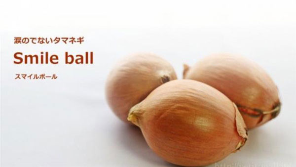 این پیازهای ژاپنی اشکتان را در نمی‌آورند! (+عکس)