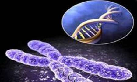 ژن درمانی افقی جدید در درمان بیماری‌های ژنتیکی