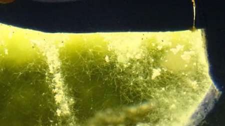 آجر هوشمند هم ساخته شد آجر هوشمند هم ساخته شد