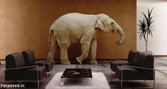 کدام جانور «وارث زمین» خواهد شد؟ (+عکس)