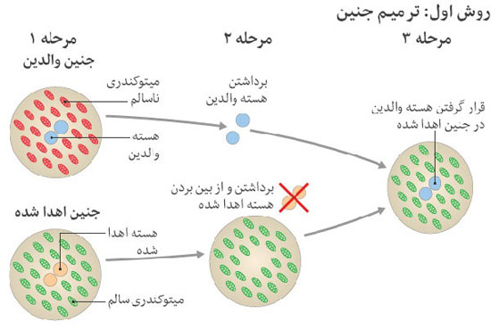 تولد نخستین نوزاد جهان با روش جنجالی سه والد (+عکس)