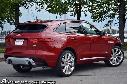 اعلام جنگ ببر انگلیسی با گربه ملوس آلمان‌ها