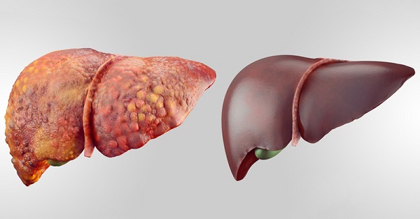 کسب انرژی با بهایی سنگین! کسب انرژی با بهایی سنگین!