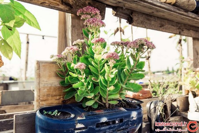 برلین، سبزترین شهر دنیا؟ (+عکس) برلین، سبزترین شهر دنیا؟ (+عکس)