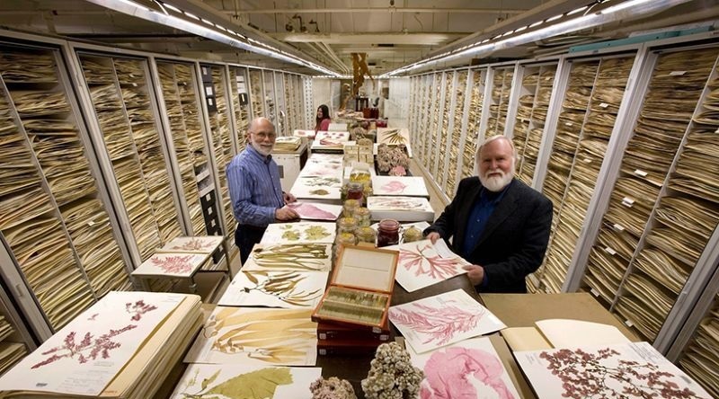 الماس امید کجاست؟ (+عکس) الماس امید کجاست؟ (+عکس)