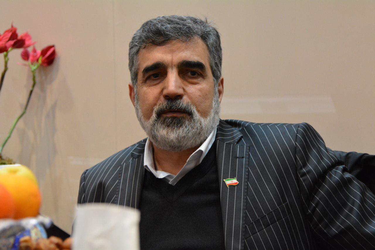 کمالوندی: اروپا به دنبال مکانیزم‌هایی است که از سرمایه گذاری شرکت‌های خود در ایران حمایت کند/ تیم آمریکایی برای اینکه بتواند اجماعی علیه ایران درست کند با مشکلات زیادی روبرو خواهد بود/در عالم سیاست زورگویی کاربردی ندارد/اگر برجام تقض شود كمتر از دو سال به بیشتر از آن میزان قبل و تعيين شده در قانون می‌رسیم