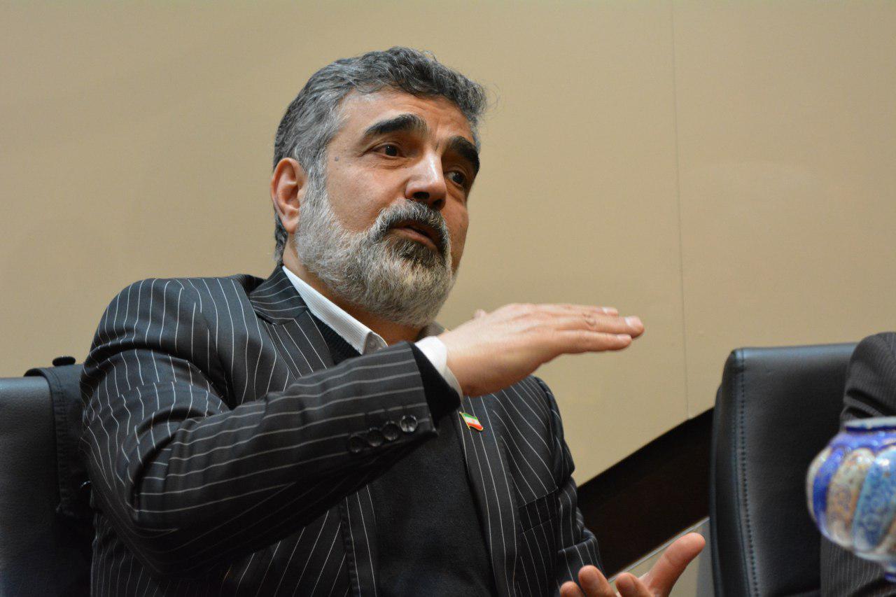 کمالوندی: اروپا به دنبال مکانیزم‌هایی است که از سرمایه گذاری شرکت‌های خود در ایران حمایت کند/ تیم آمریکایی برای اینکه بتواند اجماعی علیه ایران درست کند با مشکلات زیادی روبرو خواهد بود/در عالم سیاست زورگویی کاربردی ندارد/اگر برجام تقض شود كمتر از دو سال به بیشتر از آن میزان قبل و تعيين شده در قانون می‌رسیم