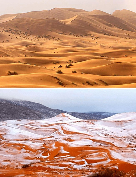 باورتان میشود این عکسها به فاصله یک روز گرفته شدهاند باورتان میشود این عکسها به فاصله یک روز گرفته شدهاند