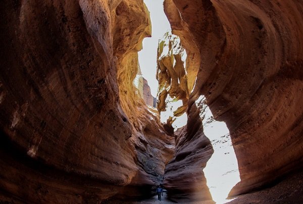 «راگه» درهای با سقف پر ستاره «راگه» درهای با سقف پر ستاره