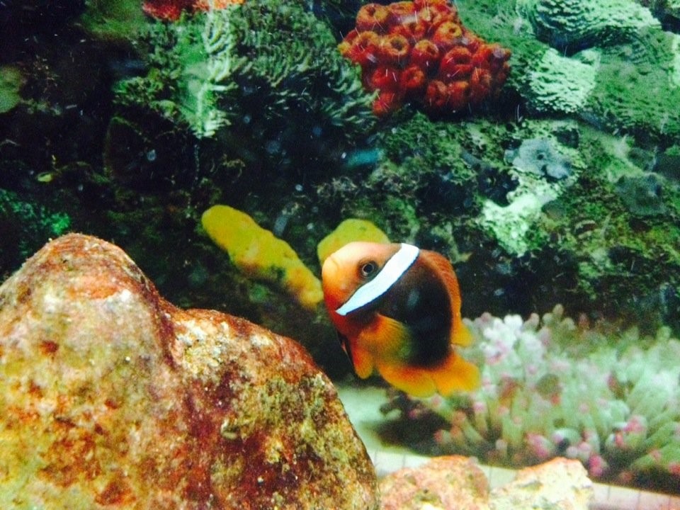 پایتخت دریا را از کجا می توان دید؟ پایتخت دریا را از کجا می توان دید؟