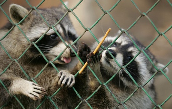 پایتخت دریا را از کجا می توان دید؟ پایتخت دریا را از کجا می توان دید؟