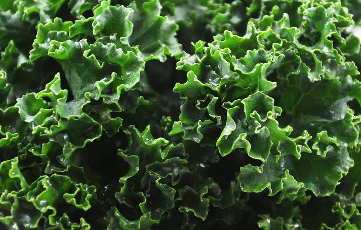 منابع گیاهی که بیش از گوشت آهن دارند منابع گیاهی که بیش از گوشت آهن دارند