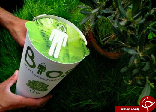 بعد از مرگ، درخت شوید (+عکس)