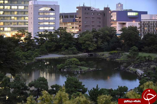 سبزانگشتی‌ها به سراسر جهان فرستاده می‌شوند (+عکس)