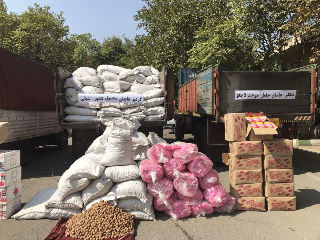 کشف گردو قاچاق محصول شیلی (+عکس)