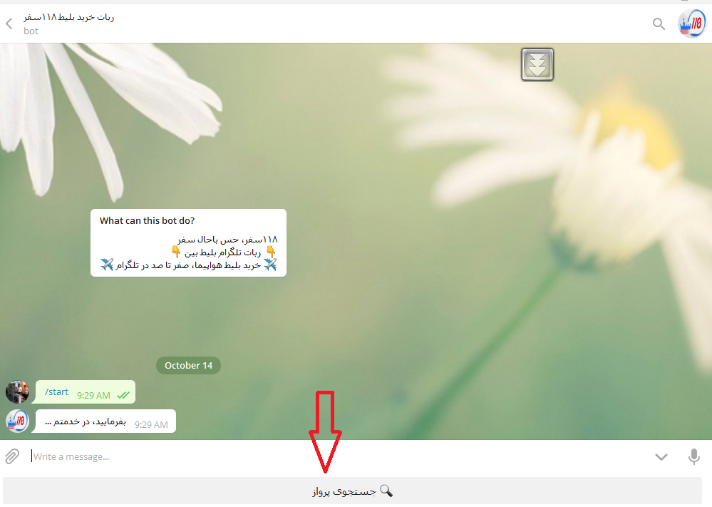 ربات تلگرامی 118 سفر راه اندازی شد/ خرید بلیط هواپیما از طریق تلگرام