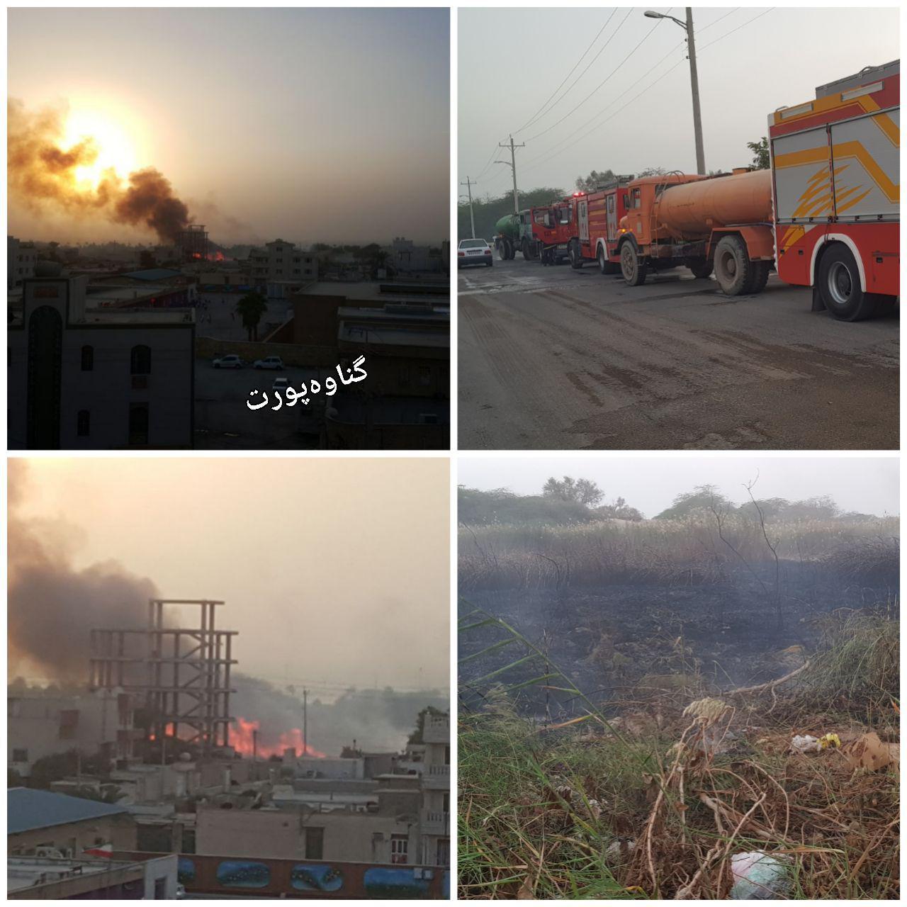 آتش سوزی جنگل تل چیتی گناوه (+عکس) آتش سوزی جنگل تل چیتی گناوه (+عکس)