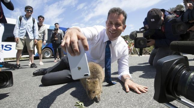 سلفی وزیر گردشگری استرالیا با کوچکترین کانگارو (عکس)