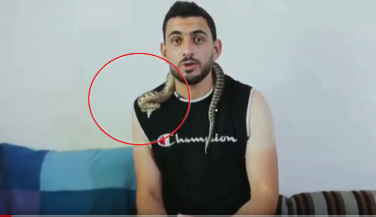 حمله افعی به یک کارشناس در برنامه زنده (+عکس)