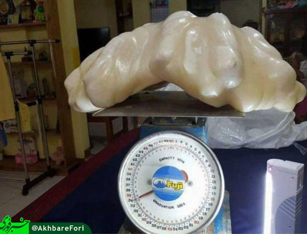 بزرگترین مروارید دنیا (عکس)