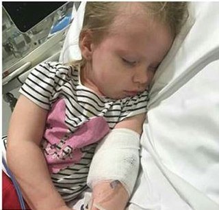 بیماری مرگبار در چنگ گربه‌های خانگی (+عکس)