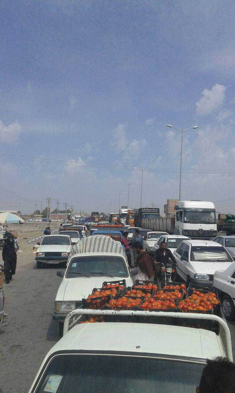 کشاورزان معترض، جاده ترانزیتی رودبار-جازموریان را بستند/ اگر محصول را الساعه نخرند، همه‌اش از بین خواهد رفت / گزارش رجانیوز از وضع اسفبار کشاورزان جنوب کرمان که صدایشان به هیچکس نمی‌رسد (+عکس)