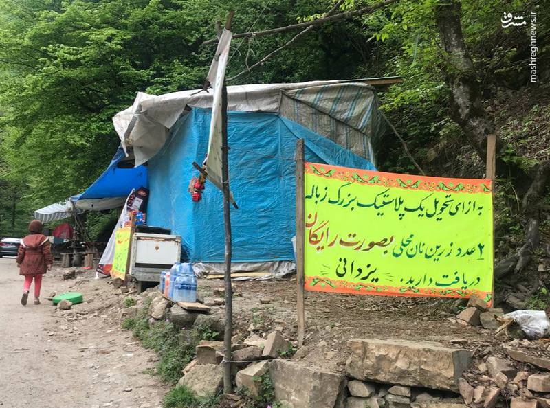 ایده‌ای جالب برای پاک ماندن طبیعت (عکس)