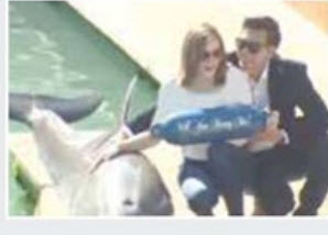 خواستگاری با دلفین