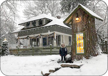 کتابخانه کوچک درختی (عکس) کتابخانه کوچک درختی (عکس)