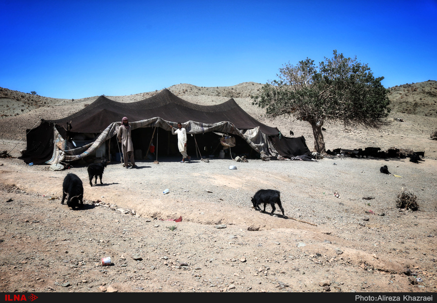 کشاورزان سیستانی: هرکه توانسته زندگیاش را فروخته و رفته/ دولت به داد مردم نرسد، آب خوردن هم باقی نمیماند کشاورزان سیستانی: هرکه توانسته زندگیاش را فروخته و رفته/ دولت به داد مردم نرسد، آب خوردن هم باقی نمیماند