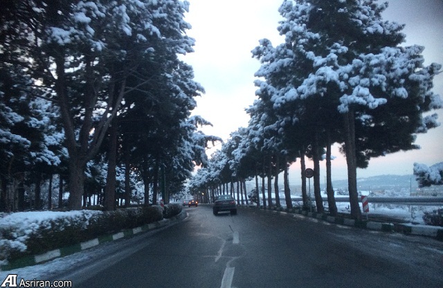 اعلام مهمترین علل تصادفات درونشهری در فصل زمستان